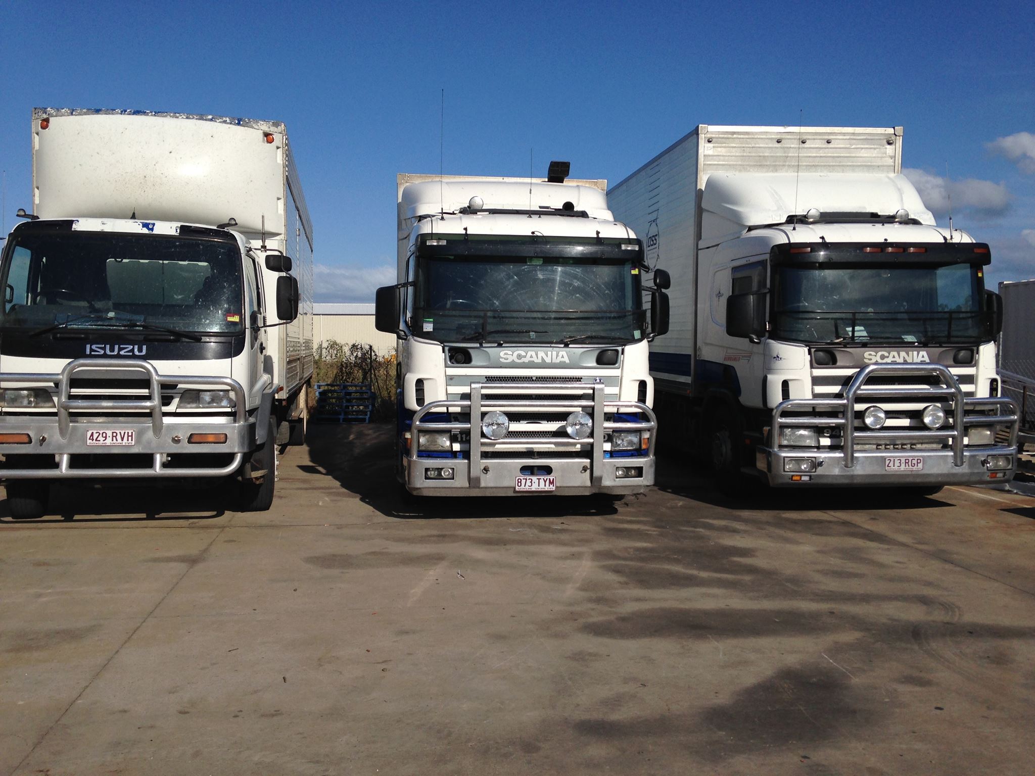 Front view of three removals trucks lined up in a yard
